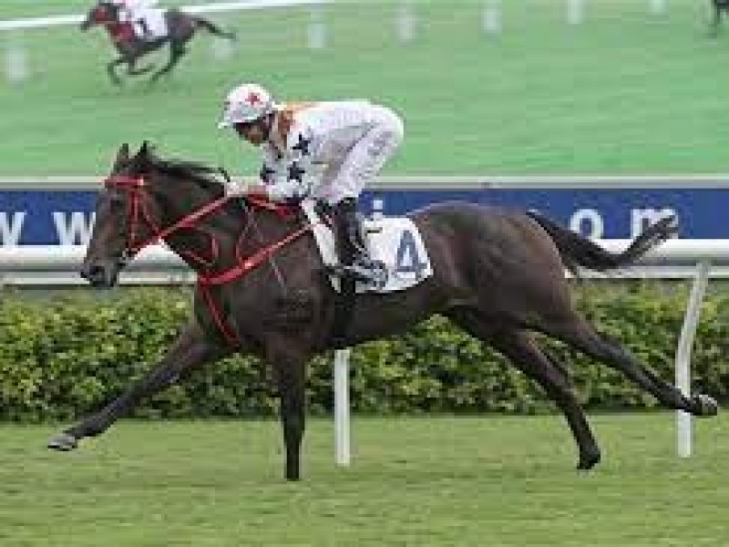 Winner Method Clashes With Carroll Street In Sha Tin Sprint Image 3